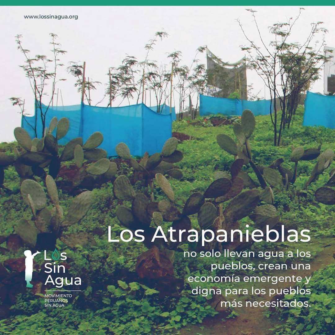 Más que llevar agua, impulsamos economías emergentes para que las comunidades autogestionen sus recursos frente al abandono estatal.